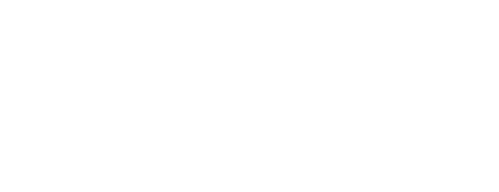 Steinmetz Sepp Logo